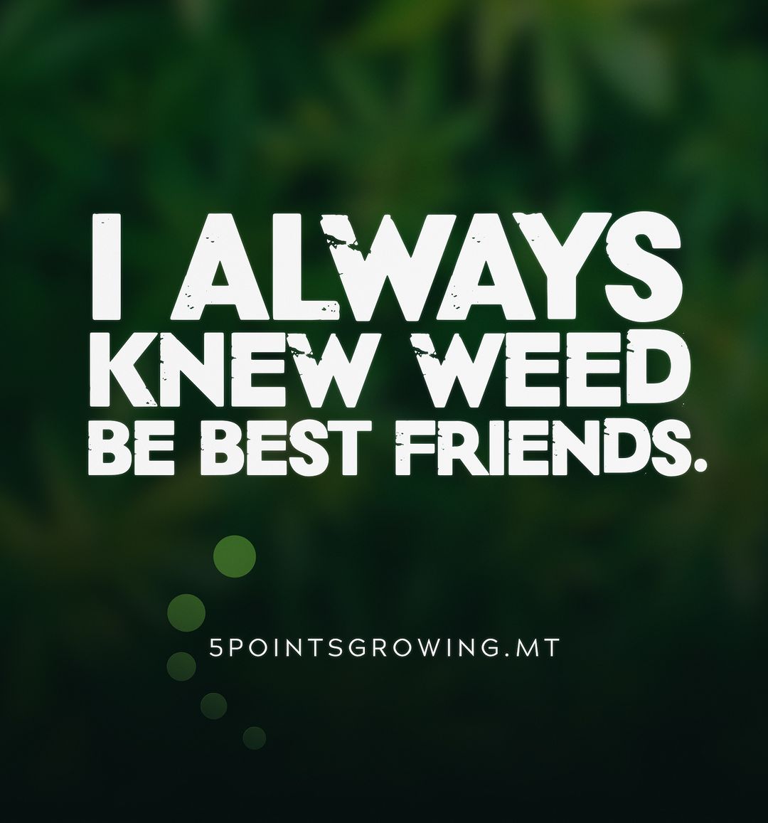 5pointsgrowing