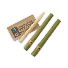 KING PALM - MAGIC MINT KING PALM - MAGIC MINT