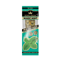 KING PALM - MAGIC MINT KING PALM - MAGIC MINT
