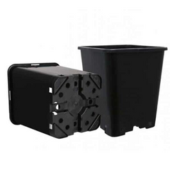 SQUARE BLACK POT 0.5 LTR - PURE FACTORY 9x9x10cm SQUARE BLACK POT 0.5 LTR - PURE FACTORY 9x9x10cm