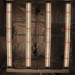 Sonic LED 330w Sonic LED 330w