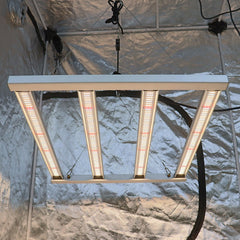 Sonic LED 330w Sonic LED 330w