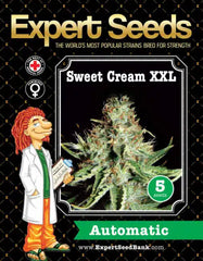 Sweet Cream XXL Auto Seeds - EXPERT SEEDS.