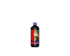 B'Cuzz Booster Coconut Universal ATAMI