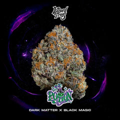 Potion Wizard Trees Genetics Pack 3 seeds