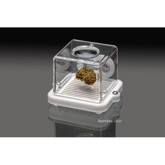 Puffer Pod White Bud Bar