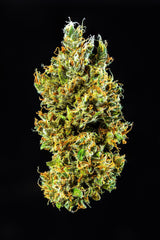 CALIFORNIAN SNOW AUTO - 420 FASTBUDS