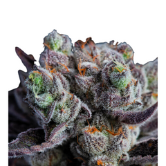 BLACKBERRY MOONROCK – ANESIA SEEDS