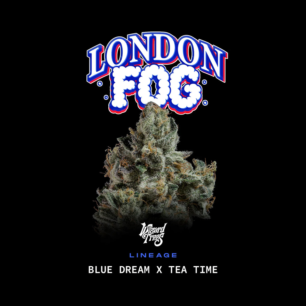 London Fog Wizard Trees