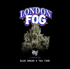 London Fog Wizard Trees