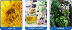 Pollinator® P500 plus 500g Tumble