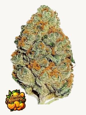 Lemon Mandarin™ - 42FastBuds
