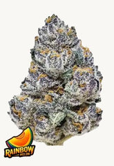 Rainbow Melon - 42FastBuds