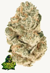 Gorilla Melon™ - 42FastBuds