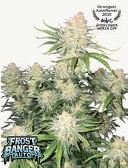 Frostbanger Auto™ - 42 FastBuds