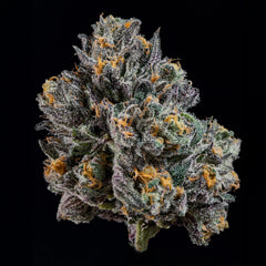 Top G Wizard Trees