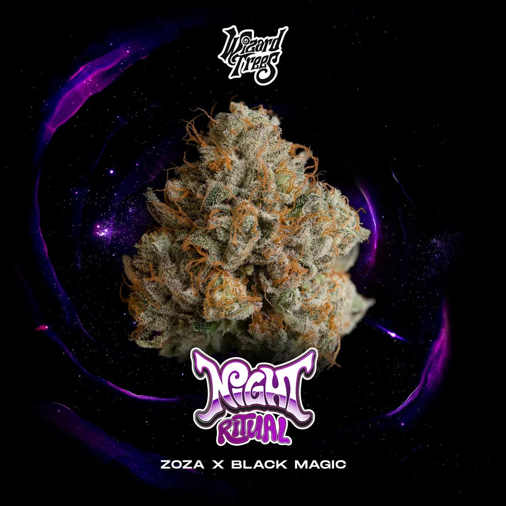 Night Ritual Wizard Trees Genetics Pack 3 Seeds