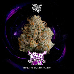 Night Ritual Wizard Trees Genetics Pack 3 Seeds