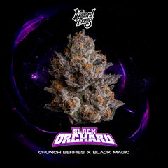 Black Orchard Wizard Trees