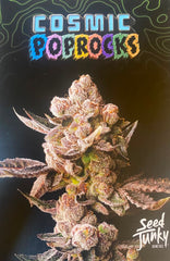 SEED JUNKY COSMIC POP ROCKS PACK 5 FEM