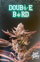 SEED JUNKY DOUBLE BIRD PACK 5 FEM