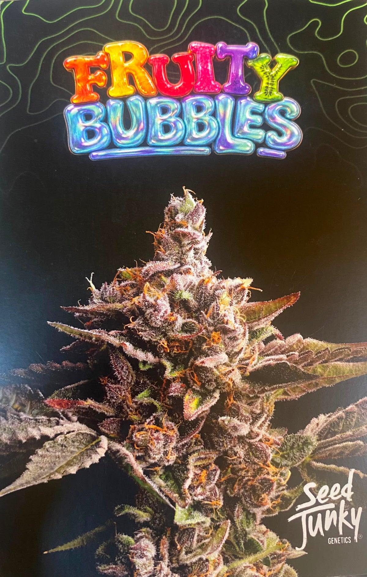 SEED JUNKY FRUITY BUBBLES PACK 10 FEM
