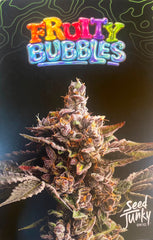 SEED JUNKY FRUITY BUBBLES PACK 10 FEM