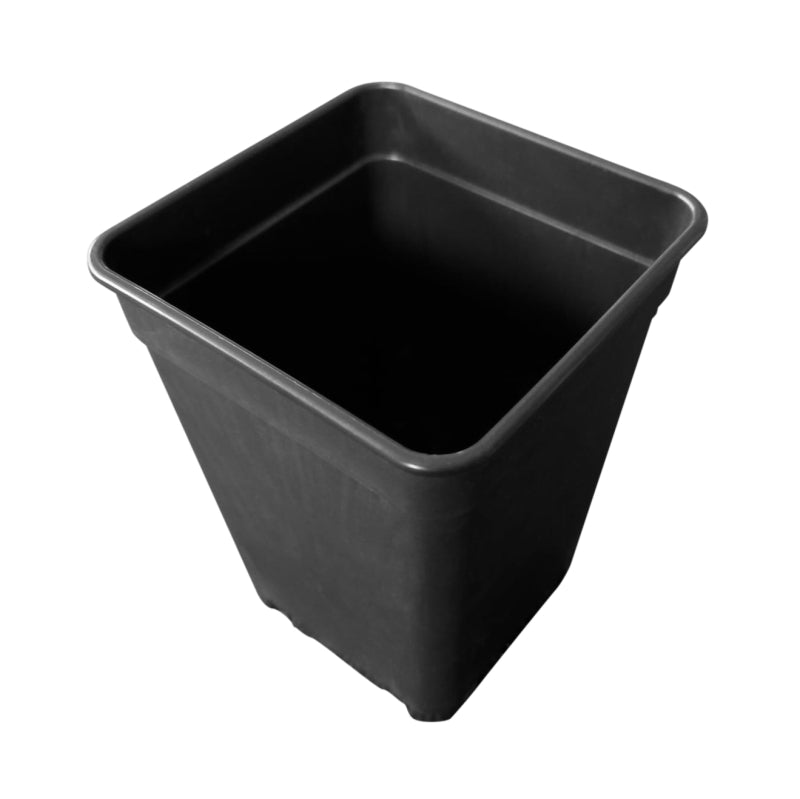 SQUARE BLACK POT 1LT 10X10X14