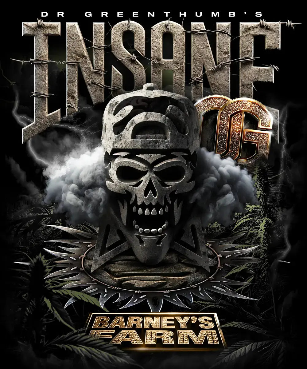 Insane OG Strain BARNEY`S FARM