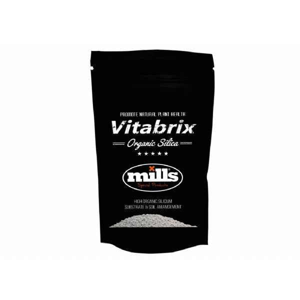 VITABRIX 300 GR MILLS