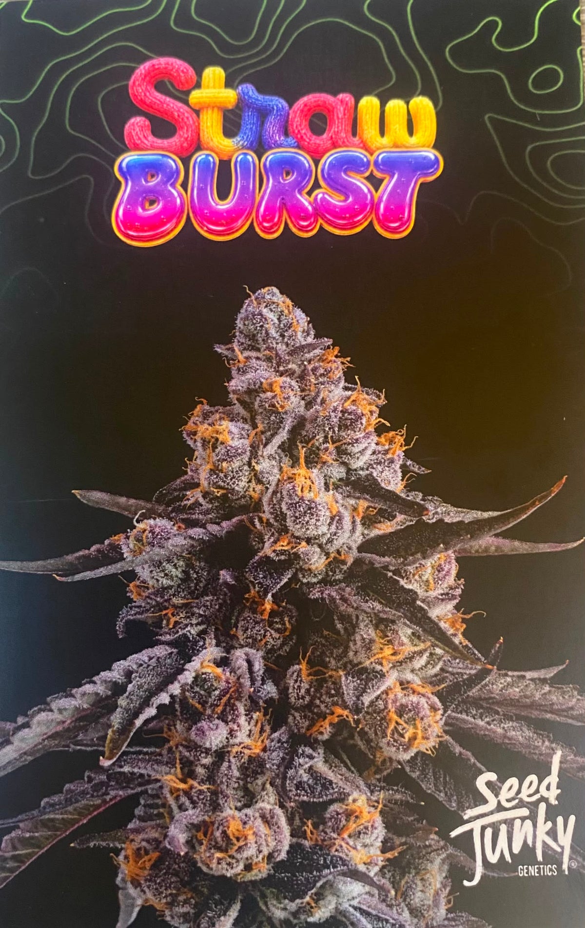 SEED JUNKY STRAW BURST PACK 5 FEM