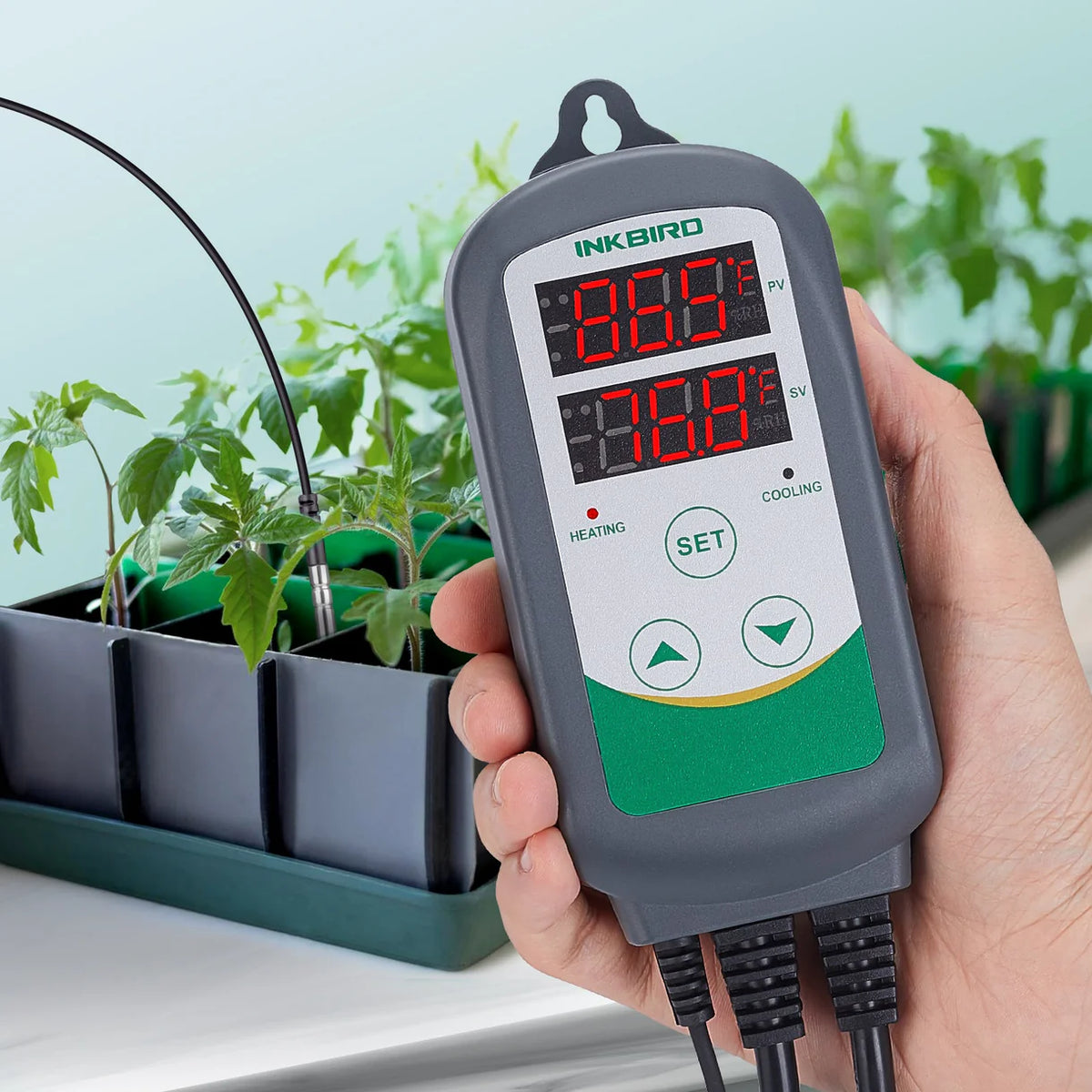 Temperature Controller ITC-308 Series INKBIRD UK Plug