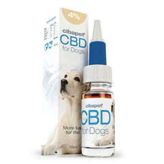 Cibdol CBD Oil for Dogs 10ml