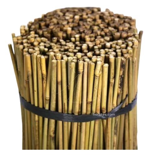 STAKE BAMBOO 1.50 M 8/10 MM - Unit