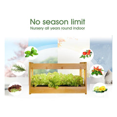 Bamboo Minigarden planter indoor light germination kit