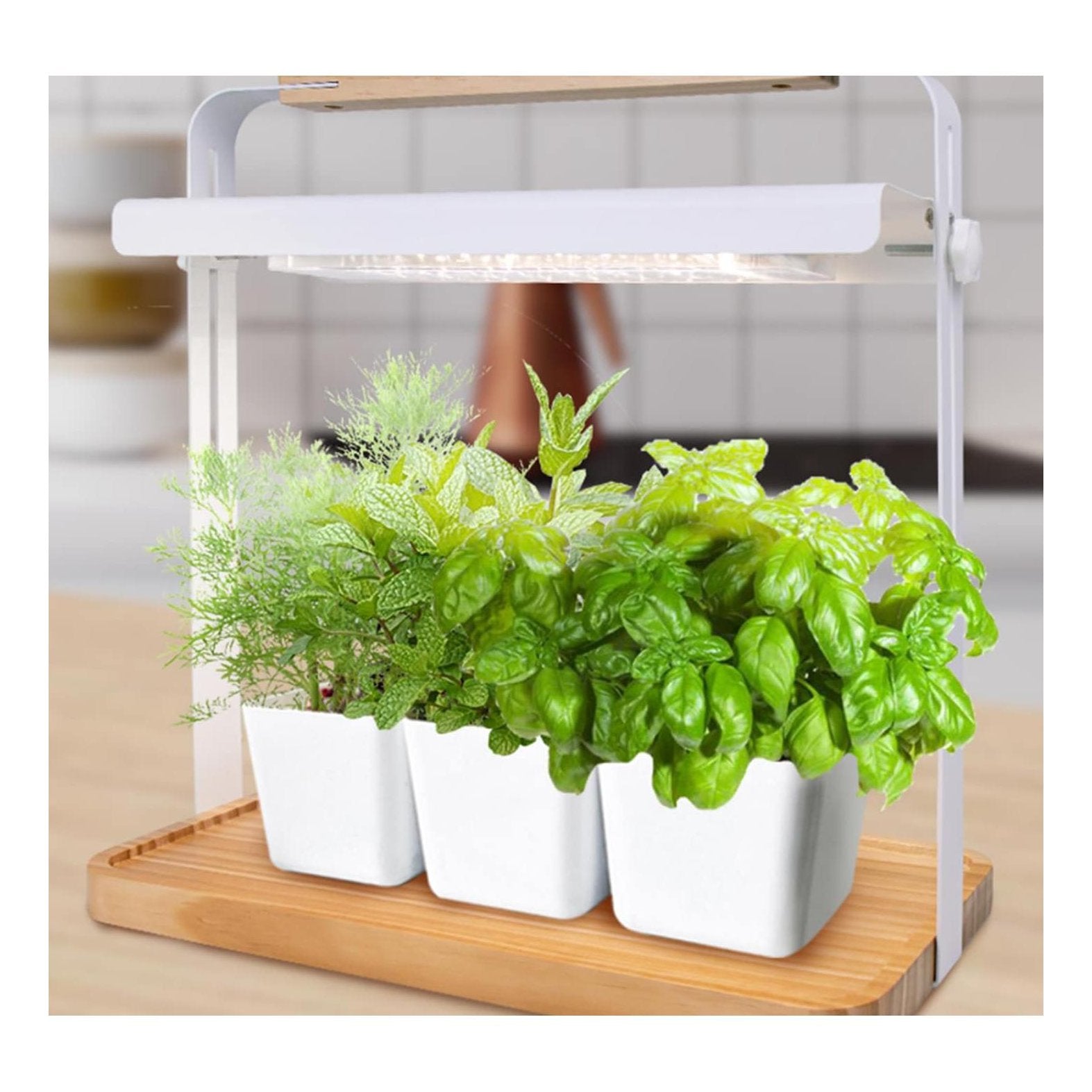 Wooden Minigarden kit smart with led grow light